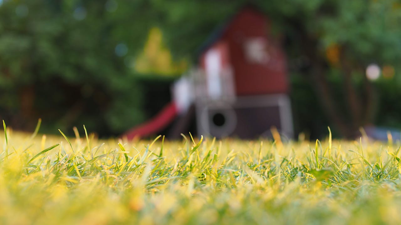 Zo houd je je tuin schoon en aantrekkelijk voor planten