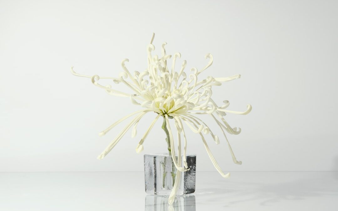 Korte kapsels 50+ zijn stijlvol en makkelijk