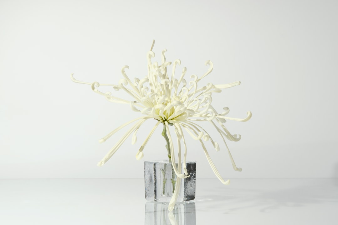 Korte kapsels 50+ zijn stijlvol en makkelijk