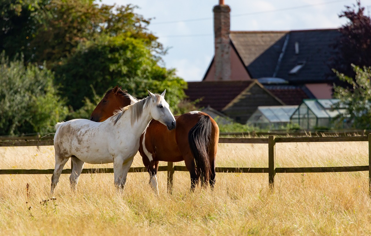 Paardenhekwerk: hout of lint bij wildrijke randen?